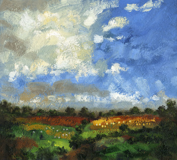 <strong>Harvest Field</strong>