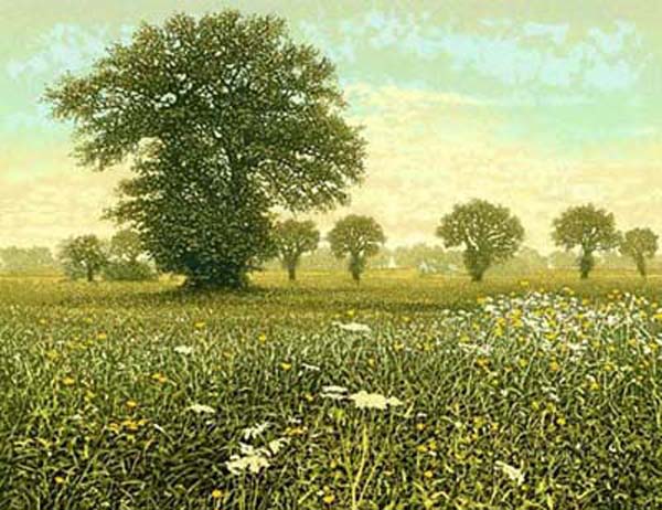 <strong>May Fields</strong>