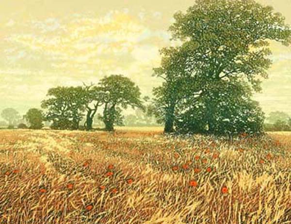 <strong>August Fields</strong>
